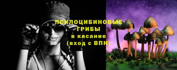 ешки Белая Холуница