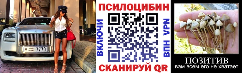 Псилоцибиновые грибы мицелий Арсеньев