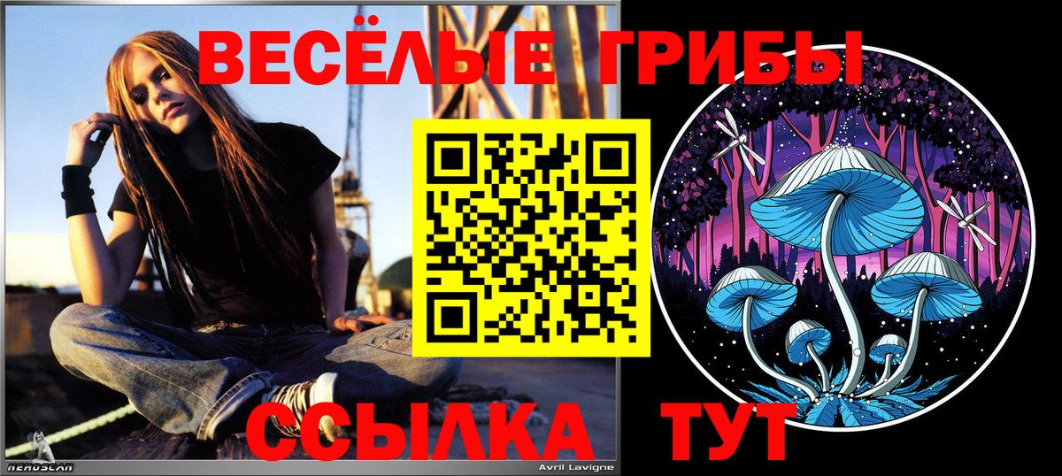 Псилоцибиновые грибы Cubensis Арсеньев