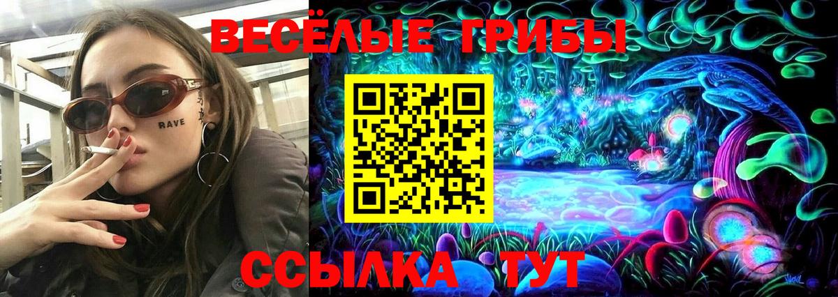 Псилоцибиновые грибы Cubensis  Арсеньев  Галлюциногенные грибы мухоморы 